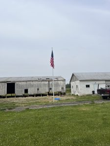 IMG_7196